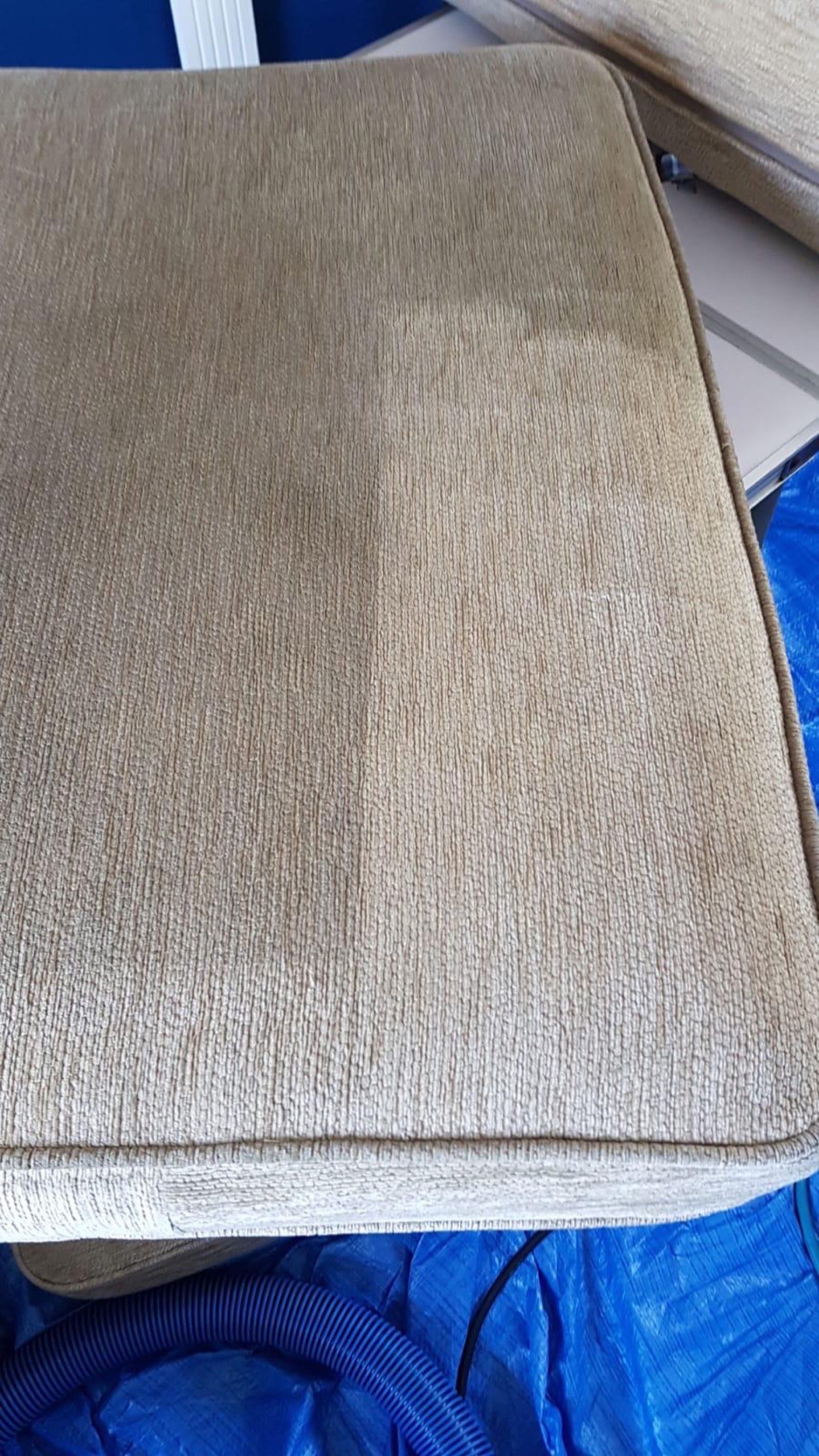 Sofa cushion showing the difference after professional upholstery cleaning